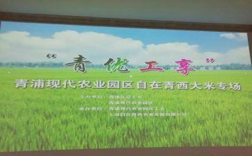 踏青优秀作文6篇