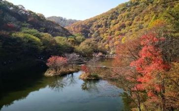 登清源山作文5篇