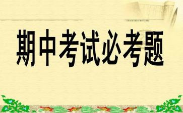 期中考工作计划6篇
