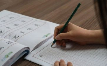 全新的我作文500字7篇