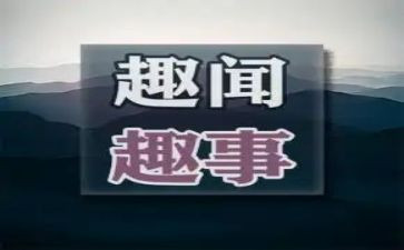 生活趣事小作文7篇