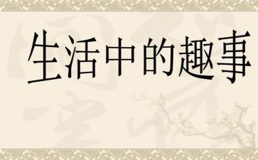 校园趣事作文600字6篇