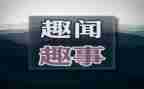 生活趣事小作文7篇