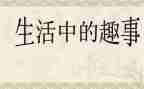 新年趣事作文500字6篇