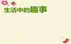 暑假趣事700字作文8篇