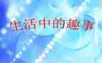 我的暑假趣事500作文6篇
