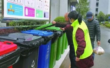 扔垃圾心得体会推荐8篇