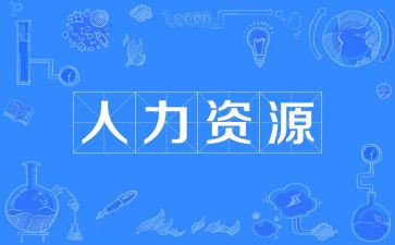 人力的半年总结6篇