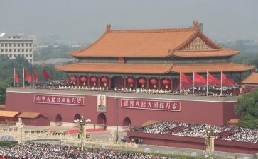 人民的鱼读后感8篇