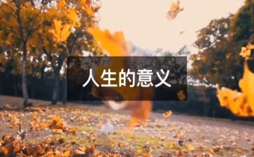 让人生更精彩作文800字5篇