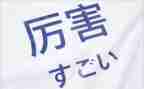 秋日语作文8篇