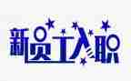 教师新入职工作总结5篇