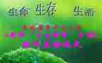 高三生物教学工作总结精选8篇