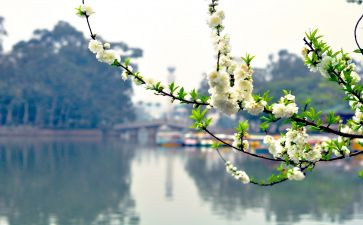 2024幼儿园三月份工作总结7篇