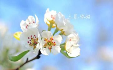 幼儿三月总结6篇