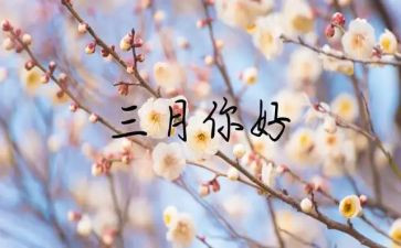 幼儿三月总结优质7篇