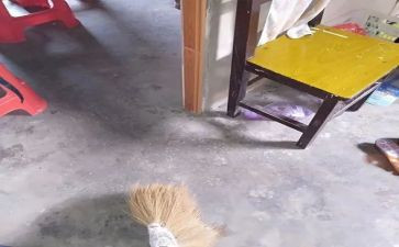 写大扫除的作文优质8篇