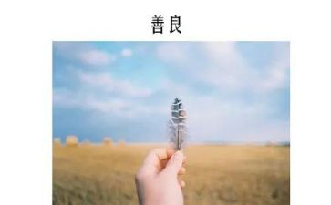 善良的作文500字6篇