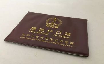 2024新生儿上户口申请书8篇