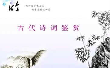 赏析作文800字8篇