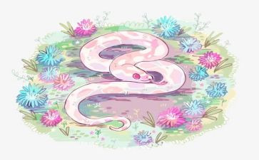眼睛蛇作文精选7篇