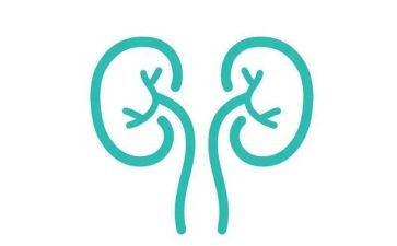 肾内科护士述职报告参考5篇