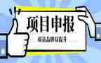 申报工程师工作总结范文5篇