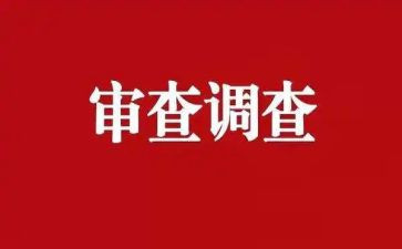 审查调查心得体会5篇