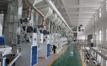 安全生产月安全工作总结精选5篇
