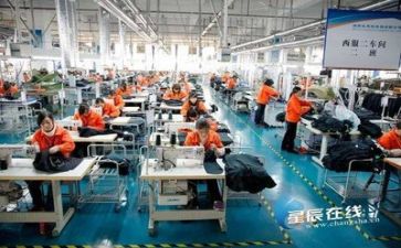 生产文员的述职报告6篇