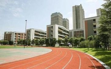 对生活感悟的作文300字优秀7篇