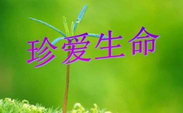 生命.安全演讲稿优质6篇