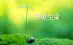 生命的演讲稿推荐5篇