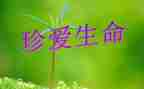 生命的价值作文800字8篇