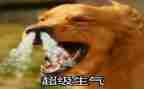 作文我生气了500字优秀作文5篇
