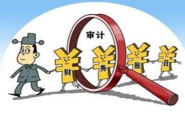 局审计工作总结精选8篇