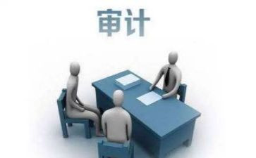 审计局半年工作总结6篇