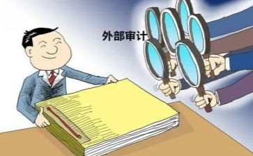 半年度审计工作总结参考5篇