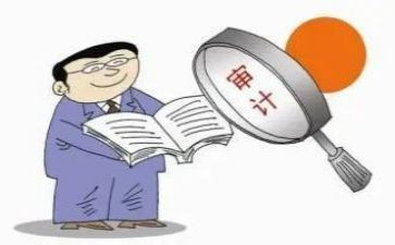 半年度审计工作总结模板6篇