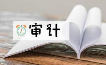 局审计工作总结优秀7篇