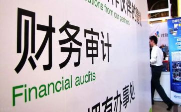 半年度审计工作总结5篇