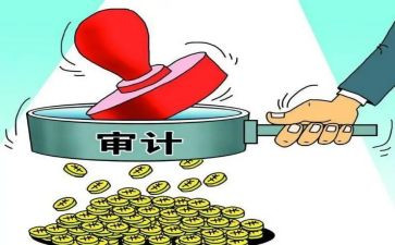 局审计工作总结6篇