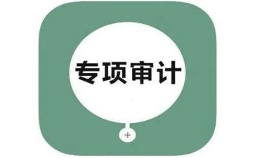2024年审计工作半年总结5篇