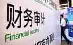 半年度审计工作总结5篇