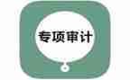 审计的演讲稿8篇