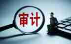 个人审计工作年度工作计划7篇