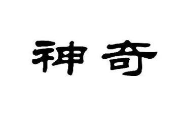 神奇的树屋读后感6篇