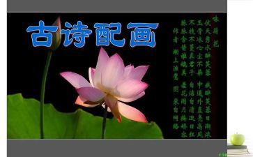 诗词与心作文推荐5篇