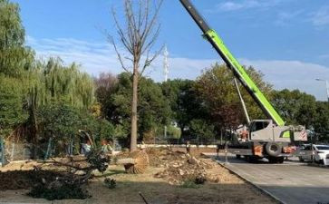现场施工年度总结8篇