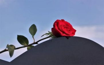 失去的……作文模板8篇
